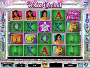 white orchid slot
